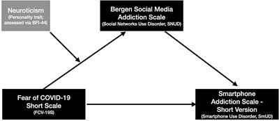 Investigating Links Between Fear of COVID-19, Neuroticism, Social Networks Use Disorder, and Smartphone Use Disorder Tendencies